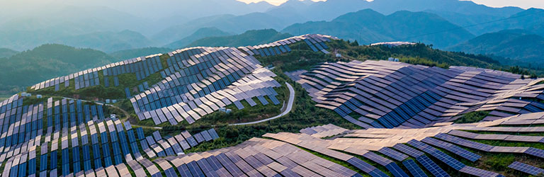 Solar panels covering a hillside with vegetation